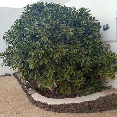 Aguas Verdes Betancuría Exterior photo